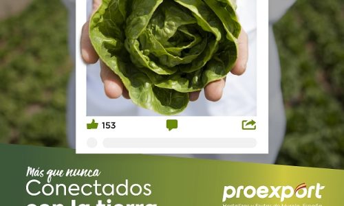 09 01 2019 proexport