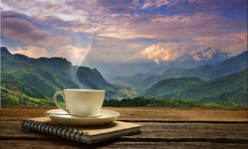 17 06 2020 CAFE AMBIENTAL AEMA