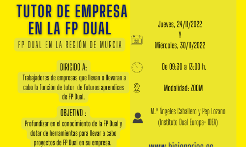 TUTOR DE EMPRESA - copia